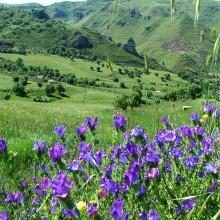 Monti-Sicani-nellovest-della-Sicilia-Sicani-mounts-in-the-west-Sicily-