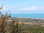 Gargano Tour: prime impressioni