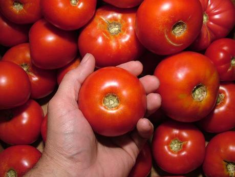 Lycopene Store - Bella come un pomodoro!