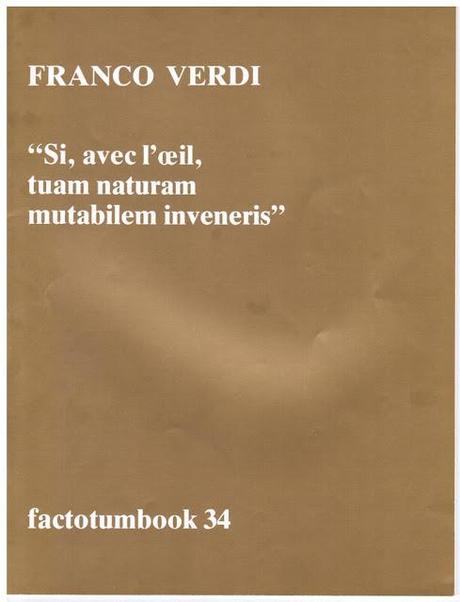 Alessandro Gaudio • La poesia visiva in Italia, 7 · La Scrittura Visuale