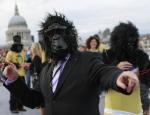 La corsa dei gorilla a Londra
