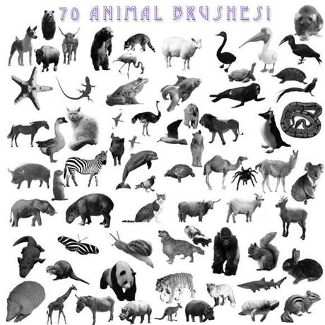 Animal Photoshop Brushes