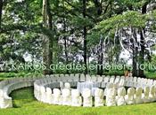 lancio riso, idee suggerimenti utili?