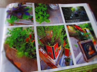 L'orto nei barattoli di latta... Country & Country