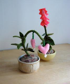 Se non hai il pollice verde...