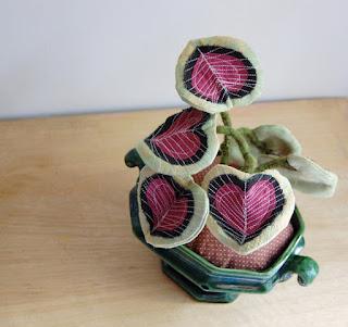 Se non hai il pollice verde...