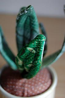 Se non hai il pollice verde...