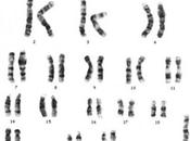 Cecità colori sindrome Turner: disgiunzione meiotica