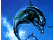 sviluppo nuovo episodio Ecco Dolphin