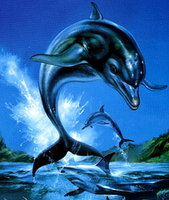 In sviluppo un nuovo episodio di Ecco the Dolphin ?