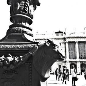 E’ bella Torino vista dagli Instagramers.
