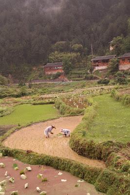 Mad in China: Guizhou