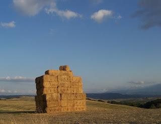 pizzi e crete senesi....