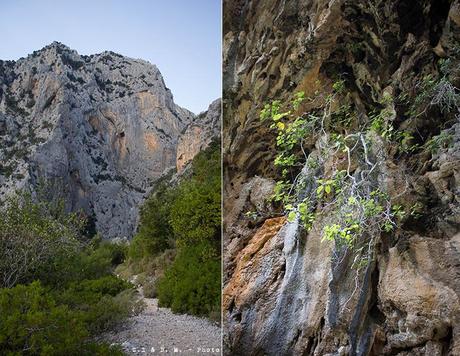 Gola del Gorroppu: il ventre della Dea