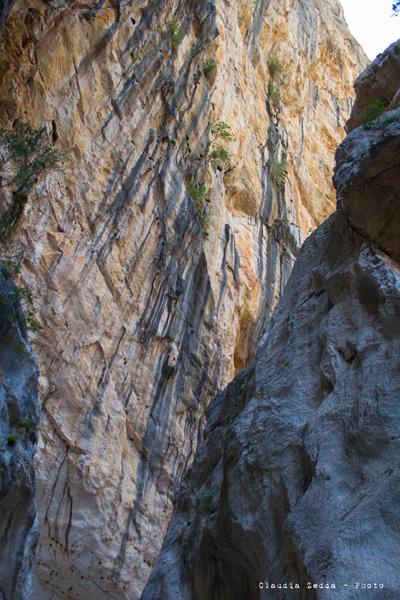 Gola del Gorroppu: il ventre della Dea