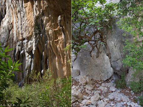 Gola del Gorroppu: il ventre della Dea