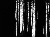 Shadow Soul: Chapter rimandato Maggio 2013