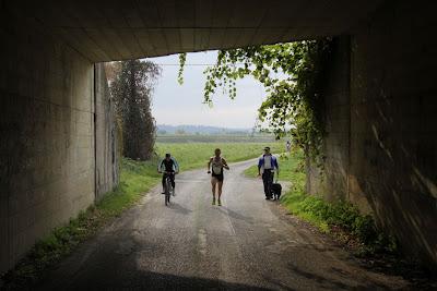 la mezza maratona di San Miniato