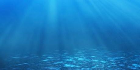Salvaguardia Ambiente Marino: Gli Oceani in pericolo vanno all’Expo (Planet Inspired)