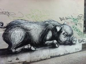 Roa