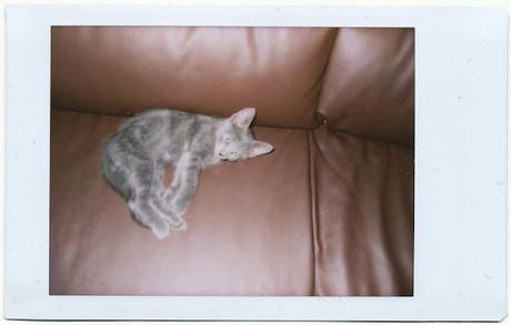 L'arrivo di Martino - Fuji Instax