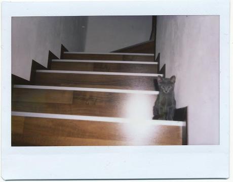 L'arrivo di Martino - Fuji Instax