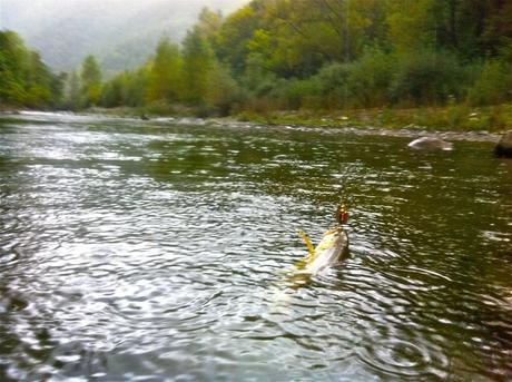 Moto, fario e pioggia in Trebbia – “La valle più bella del mondo”