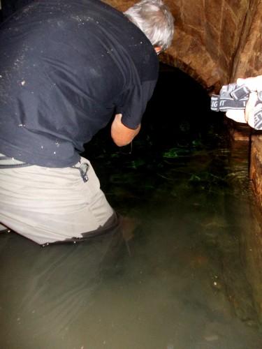 grotte, montegranaro, cai, speleologi, gruppo, speleologico, fermo, esplorazione