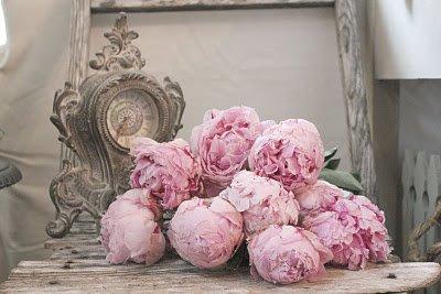 Fiori rosa... fiori sul tavolo...