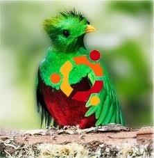 quantal quetzal.jpg
