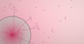 Eufloria confermato al debutto di Playstation Mobile