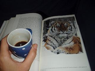 La tigre. La tigre.