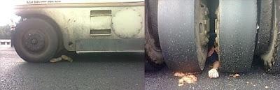 Sulla foto e notizia del cinese schiacciato da un camion: fake o fatto vero?