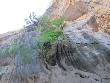 il Canyon di Gorropu