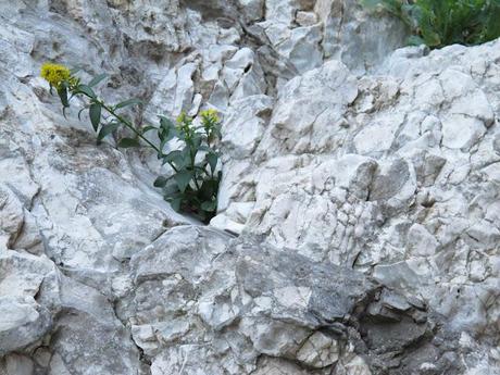 il Canyon di Gorropu