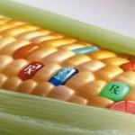 Via libera agli OGM in Italia