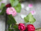 rose d’autunno