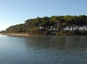 L’isola conigli Porto Cesareo: meraviglia nostro Salento