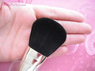 Review Lavish Oriental Face Brush, pennello viso 2 in 1