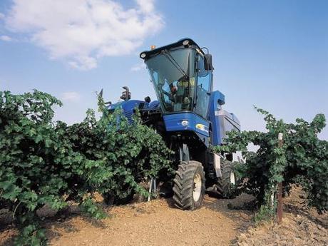 Vendemmia manuale o meccanica?