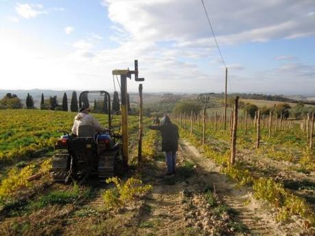 Liberalizzazione dei diritti d’impianto dei vigneti, no grazie!