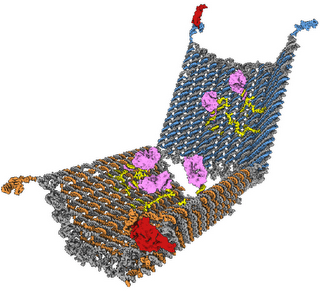 Nano-robot per colpire solo le cellule-tumorali