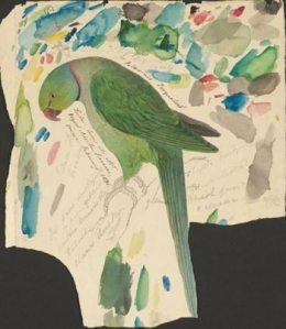 Edward Lear green parrot