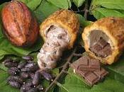 Cacao cioccolato