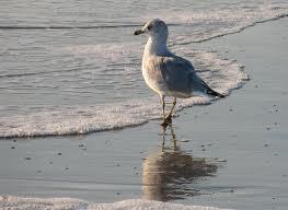 L’autunno al mare!