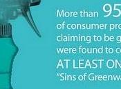 Greenwashing Report 2010