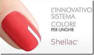 shellac2