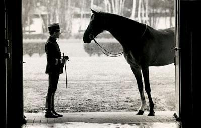 Le Cadre Noir di Saumur e la Scuola di Equitazione spagnola di Vienna.