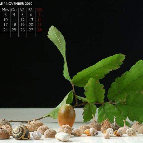 Novembre: sfondo scrivania + calendario / November: wallpaper + calendar