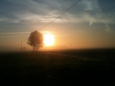 Nebbia.... e lieti eventi